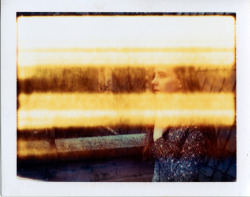 polakueche:  Happy Polaroid accidents Polaroid