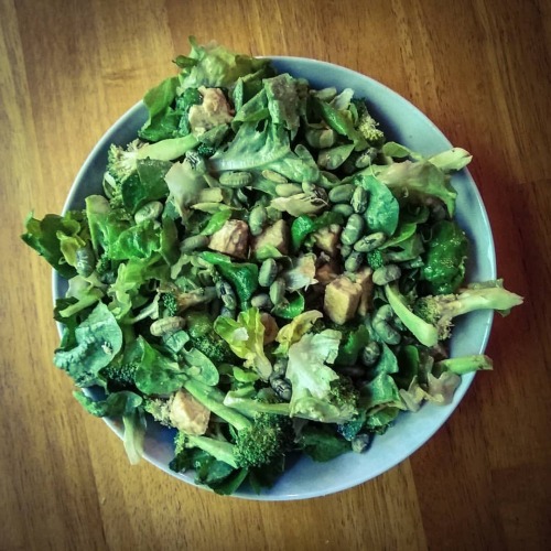 unnecessarily dramatic salad picture&ndash; lettuce is local, as is the broccoli, then tempeh + drie
