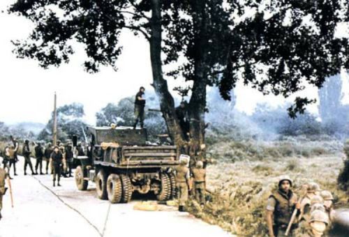 How to Cut Down a Tree in the Korean DMZ — Operation Paul Bunyan, 1976.Perhaps the most heavil