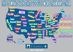   America’s fifty states have a lot in common, but if their internet search histories are any indication they also have significant differences. Estately ran hundreds of search queries through Google Trends to determine which words, terms, and questions