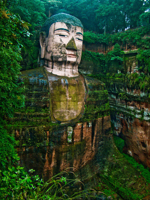 theadventurechild:    Jungle/tropical blog  