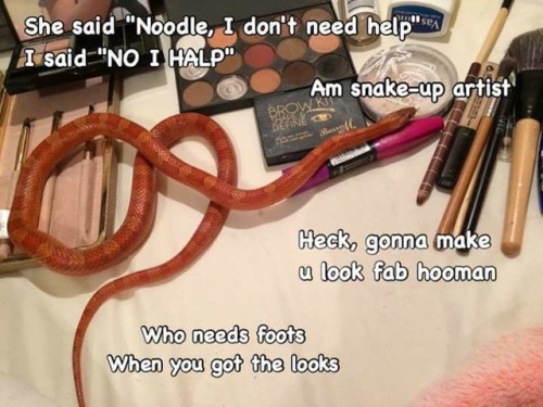 adorablesnakes:A friend sent this to me - anyone know its origin?