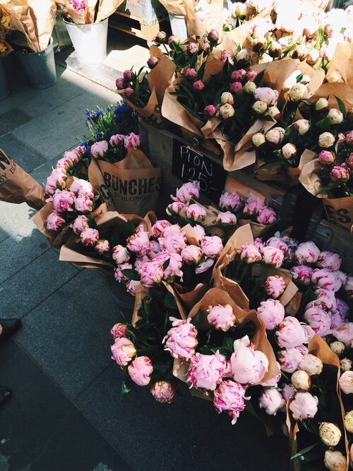 florhalmist:  F L O R H A L M I S T