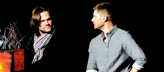 mishasminions:  HERE’S JENSEN OBJECTIFYING MISHA WITH THE TERM “HOT”, AND JARED