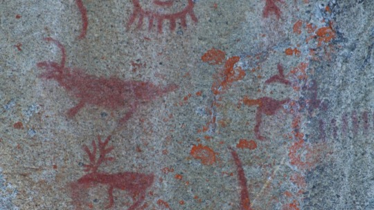 'It was a treasure - now it looks like a disaster': Vandalism to Indigenous pictographs raises concern