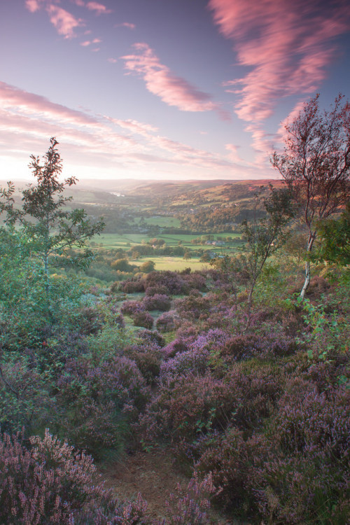 wanderthewood:Nidderdale, view towards Pateley Bridge and Gouthwaite Reservoir, Yorkshire Dales, Eng