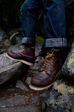 thehypedera:  Red Wing 