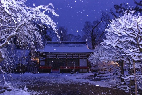 chitaka45: 2019年初雪 北野天満宮  Kitanotenmangu shrine in snow