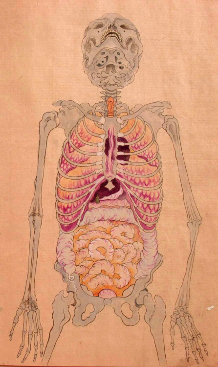 Anatomical illustrations from Edo-period porn pictures