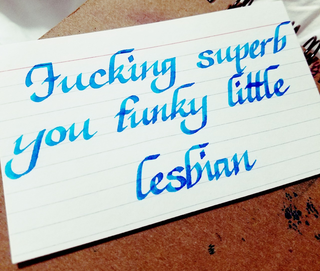 lettering-is-my-music:  murdershegoat:  ‘fucking superb you funky little lesbian’