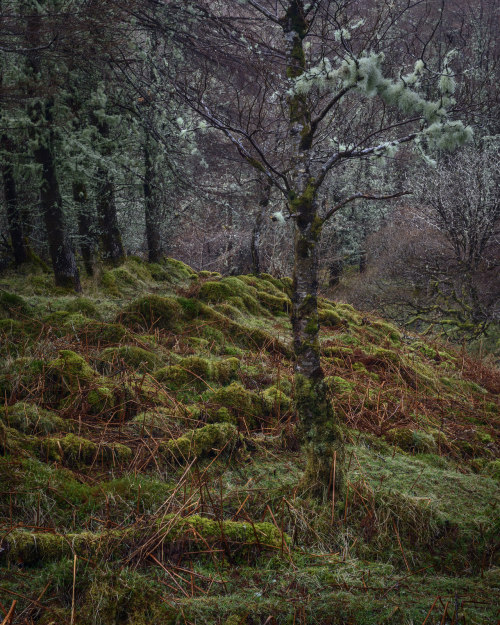 Glean Meadal by Rob Oliver