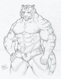 naruever:  practice drawing muscle Tiger