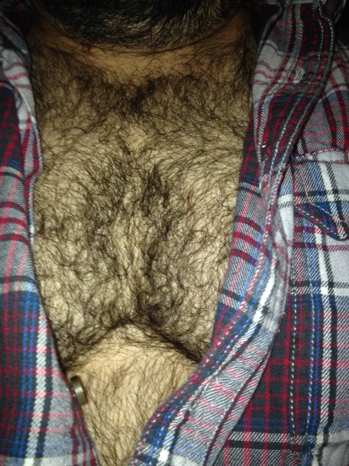 imhereforthemen: A little close up chest shot. (okcbigbear) Mmmmmmmmm