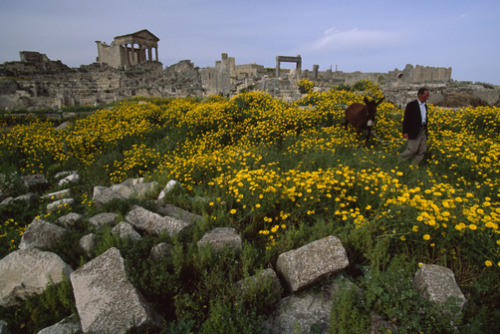 unrar:A panorama of the Roman ruins at Dougga, with the Capitol at the top. The latter was presented