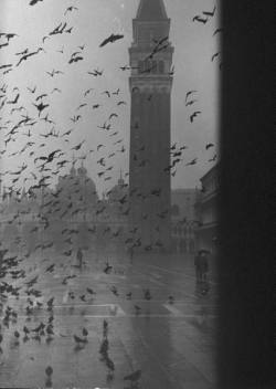 Undr:dmitri Kessel. Venice, Italy, 1952