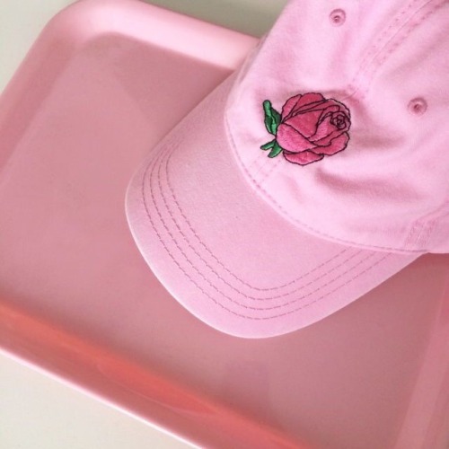 // pink roses are my a e s t h e t i c //