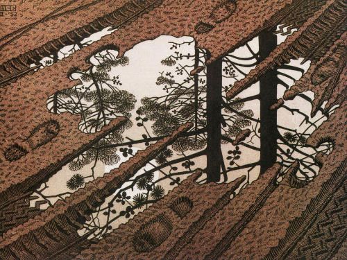 oxidi:“Puddle”woodcut, 24 cm × 31.9