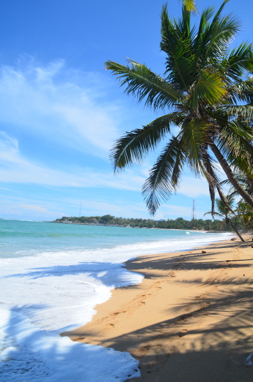 poussieresdempires:Tangalle, Sri Lanka 2016 (by Félix le Masne)