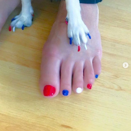 curingdepressionwithmemes:  funovels: People Are Getting Matching Pedicures With Their Dogs   OMFG I SHOULD DO THIS TOO   Peticure