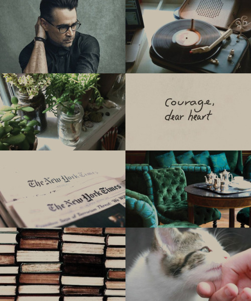 thegaypumpingthroughyourveins:  character moodboard for @qed221b  ↳ soft Percival Graves “Tension is who you think you should be. Relaxation is who you are.”