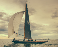 sailingimages:  8mR s/y Luna training with