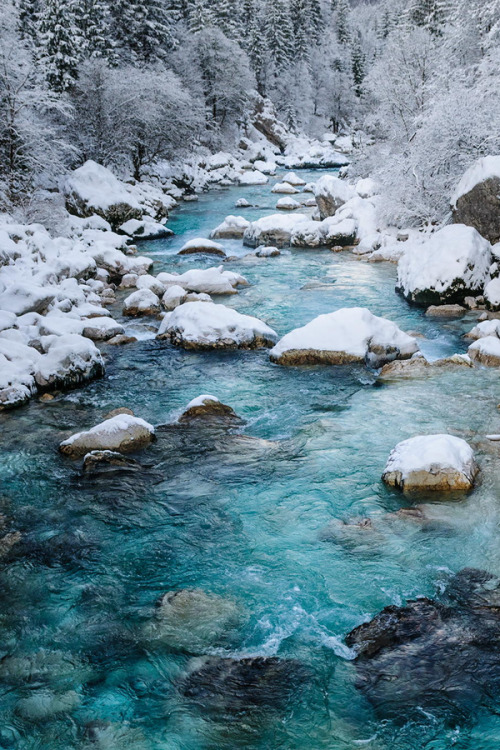 Sex  Soca River in Snow    pictures