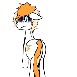 Asksailorponies:  Bennimarru:  The Rear Ends From The Stream. Thanks For Joining,