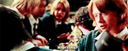 acciomychildhood:  Favorite missing book quotes → &ldquo;What’s that?&rdquo; said Ron, pointing at a large dish of some sort of shellfish stew that stood beside a large steak-and-kidney pudding. 