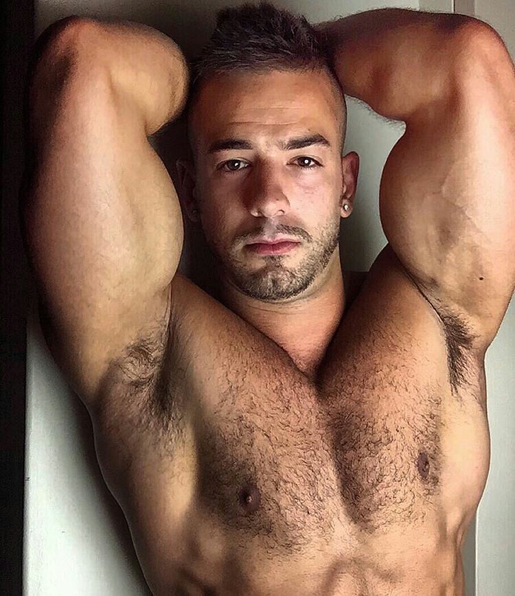 Sexy. Hairy. Reblogs.