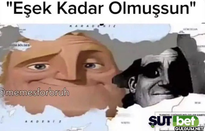 "Eşek Kadar Olmuşsun" A...