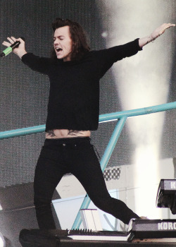 harrythingx-blog: Vienna - 10th June ( x )  Tummy