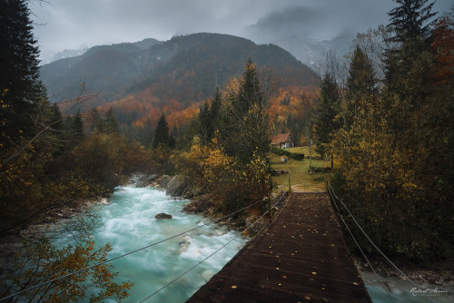 Silvaris:  Bridge To Autumn By R-Maric  