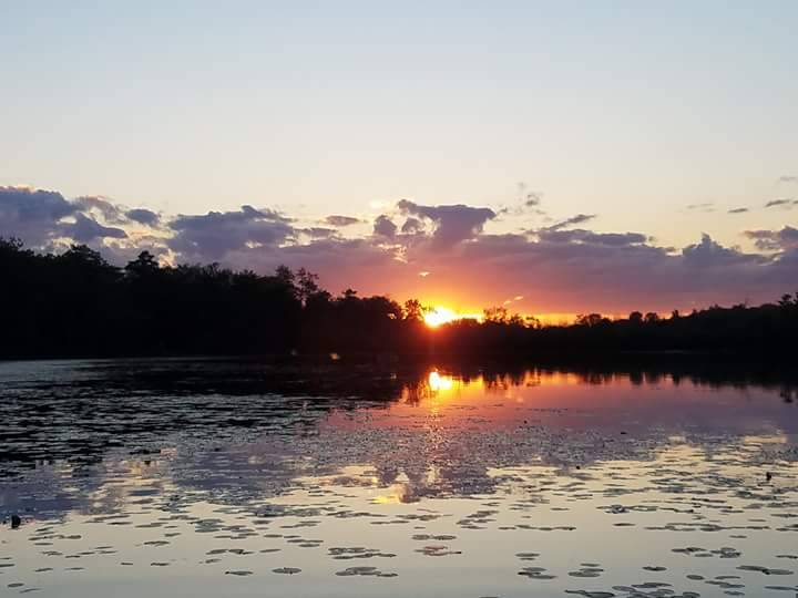 The Great Lakes State.
