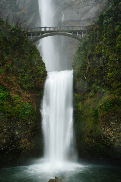 intothegreatunknown: Multnomah Falls (By bobby_pariatmihsill)