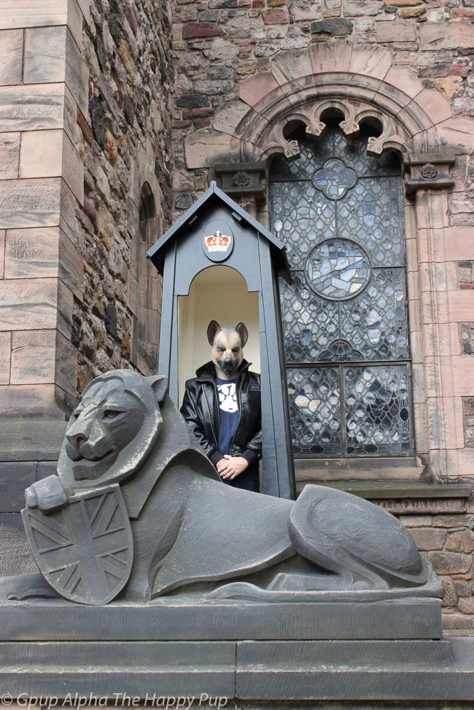 Human Pups @ Edinburgh CastleSirius Pups have had the best holiday in the UK&hellip; http://SiriusPup.net