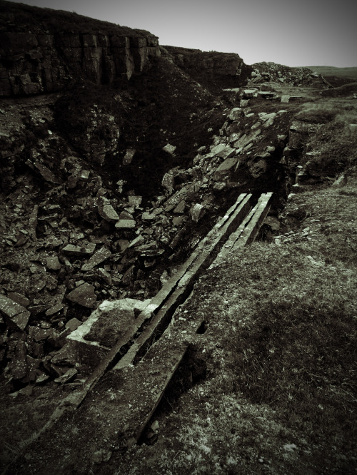 Lee Quarry Lomography Stills, Sculptures and 19th century quarrying remains, 27.7.15.