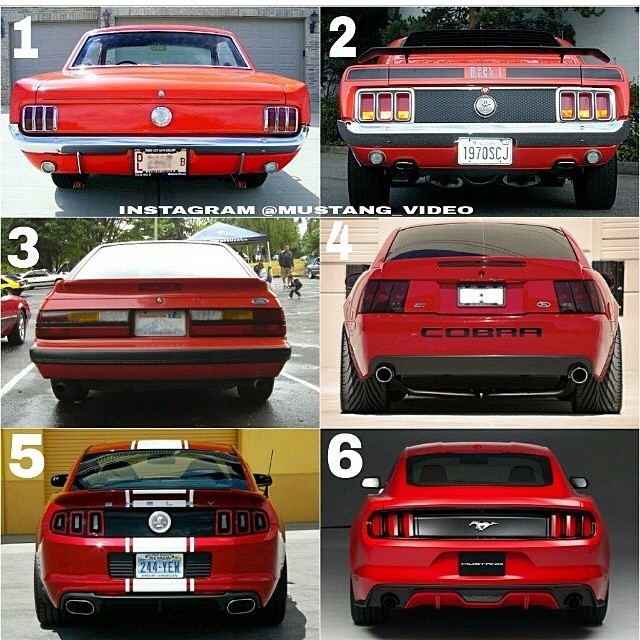musclefords:  @Igfords #americanmuscle #svt #ford #mustang tag -&gt; #american_muscle_mustangs