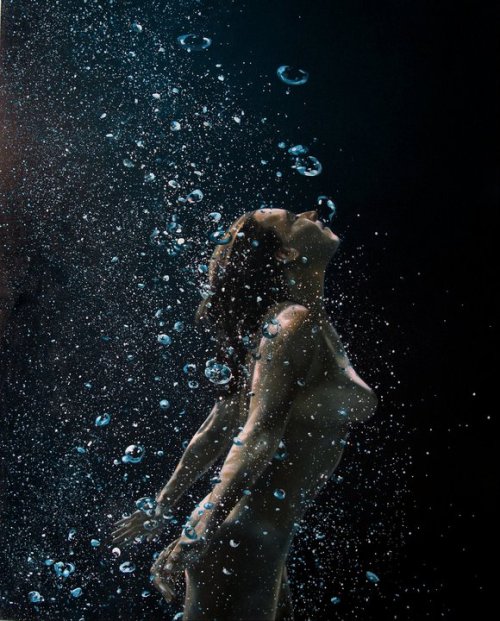 showslow:  Eric Zener