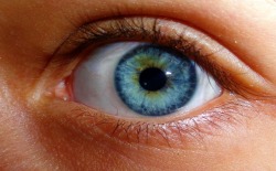 saepphire:  My blue eye c: