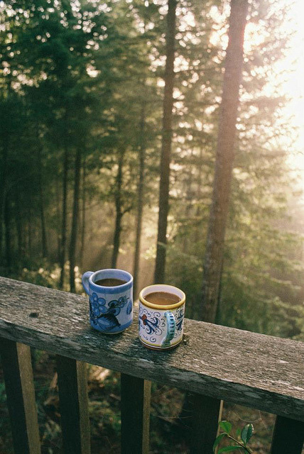 wild-nirvana:  •my spiritual world• 