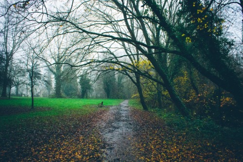 odbytea:  dpcphotography:  Weekend Walk 🍁🍂  xx
