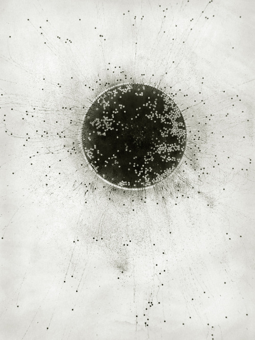 turecepcja:  crossconnectmag:  London based artist - Emma McNally took her degree in English and Philosophy and as an artist is self-taught, developing a subtle drawing style which fuels the complex mark-making of her large works in graphite on paper.