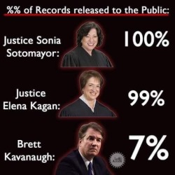 liberalsarecool:  Never forget as we impeach Kavanaugh, aka Mr Perjury.