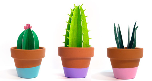 New line of potted paper cacti now available in my shop!These handmade little plants are made using 