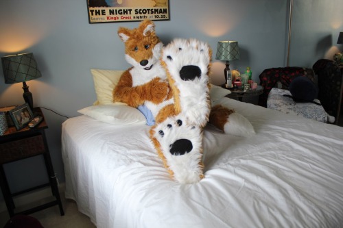Sexy poses and paws.. ;)Not a murrsuit.