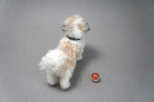  A needle felted Shih Tzu “Woodrow”.  Woodrow has crossed the rainbow bridge but dearly 