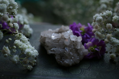 Flowers and gemstones from that time when I took photos for my shop update tumblr | Instagram | Etsy