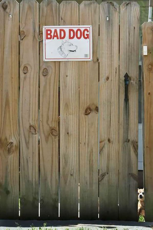 foodfightme: awesome-picz: Dangerous Dogs Behind “Beware Of Dog” Signs. Joey has killed more than