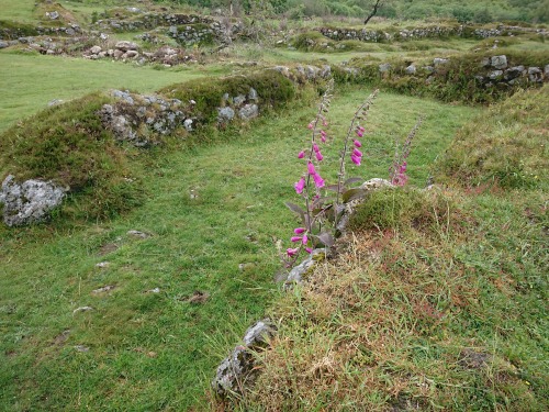 Hundatora Medieval Village (13th century). Dartmoor, Devon, England