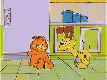 garfield4.gif (1043×819)  Garfield y sus amigos, Garfield, Garfield  imagenes